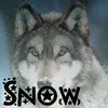 Snow Wolf