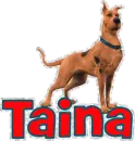 Taina
