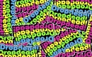 drop dead!