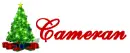 cameran
