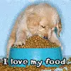 I Love My Food
