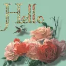 hello