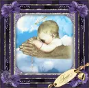torie baby angel