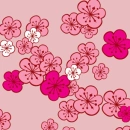 pink blossom