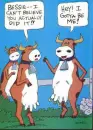 Cows