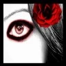 red rose