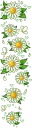 lovely flowers