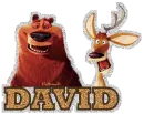 David 