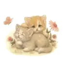 Kittys