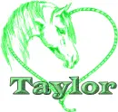 Taylor