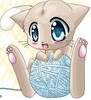 cute kitten