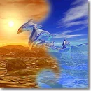 ying yang dolphin