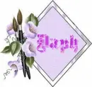 Daph - Purple Bell
