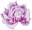 Shirley