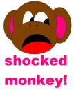 MONKEY SHOCKED