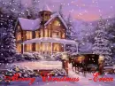 merry christmas   -erica