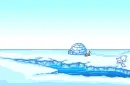 north pole