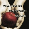twilight is love