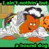 meatwad elvis