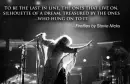 Stevie Nicks