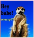 wassup??
