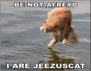 I ARE JEEZUS CAT!