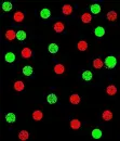 Christmas background