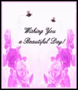 Wishing you a beautiful Day
