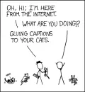 Captions To Cats
