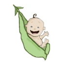 Pea baby