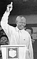 nelson mandela 