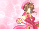 Pink Sakura