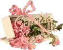 Name 