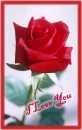  i love you