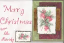 merry christmas from the patricks