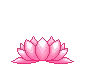 Flower Shine