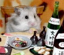 hamham eat