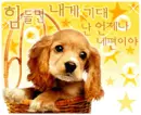 puppy