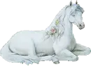 PRETTY HORSE