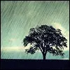 rain