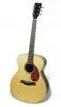 accoustic guitar