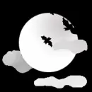 bats