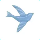 Swallow.