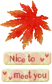 nice to meet you