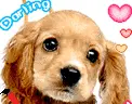 DARLING