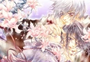 sakura love