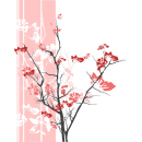 pink spring 