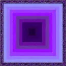 Purple Illusion