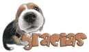 Gracias