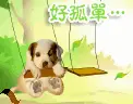 cute kawaii puppy swinging